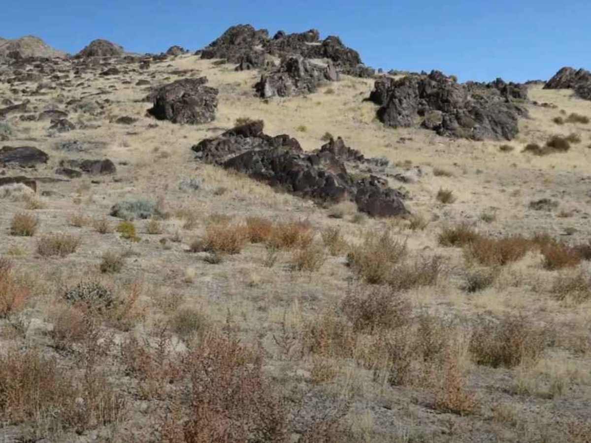 Desert Mountain Petroglyphs photo 5