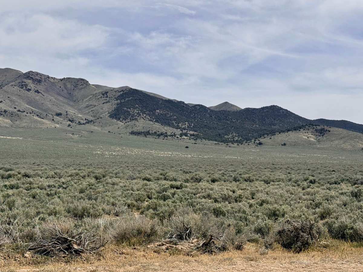 South Old Highway Road photo 2