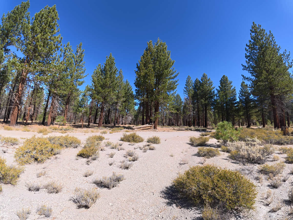 FS 1S14B trail photo