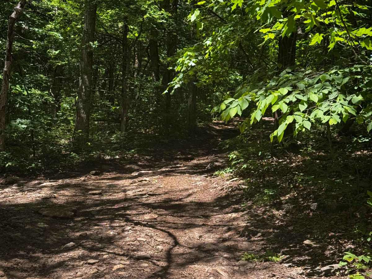West Inner Cut trail photo