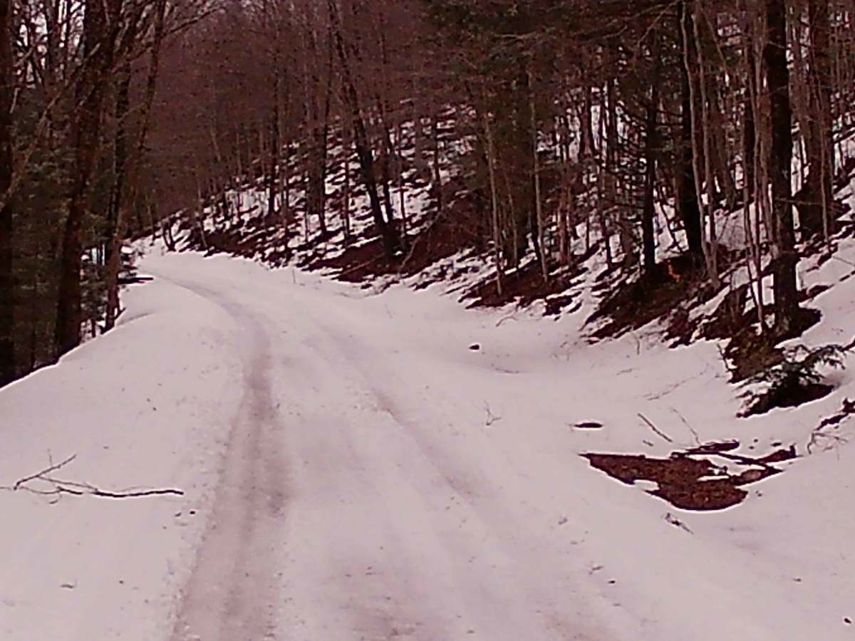 Mountain Spring Road photo 2