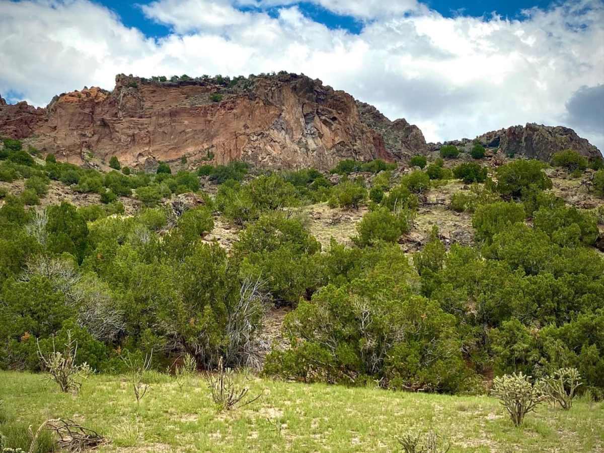 Upper Diablo Canyon Rd trail photo