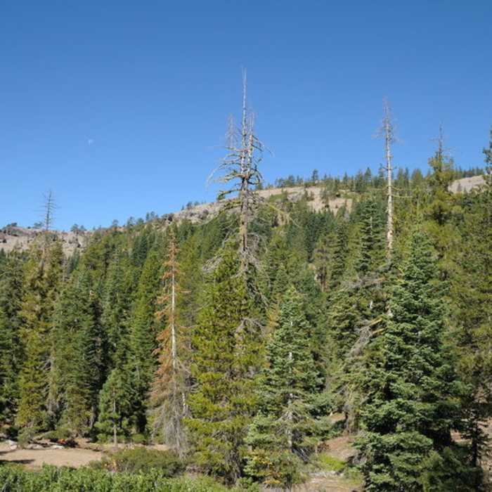 Near Point Mariah Hiking Trail