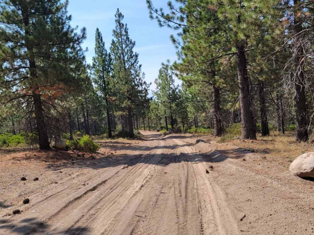 Dill Scenic Trail photo 4