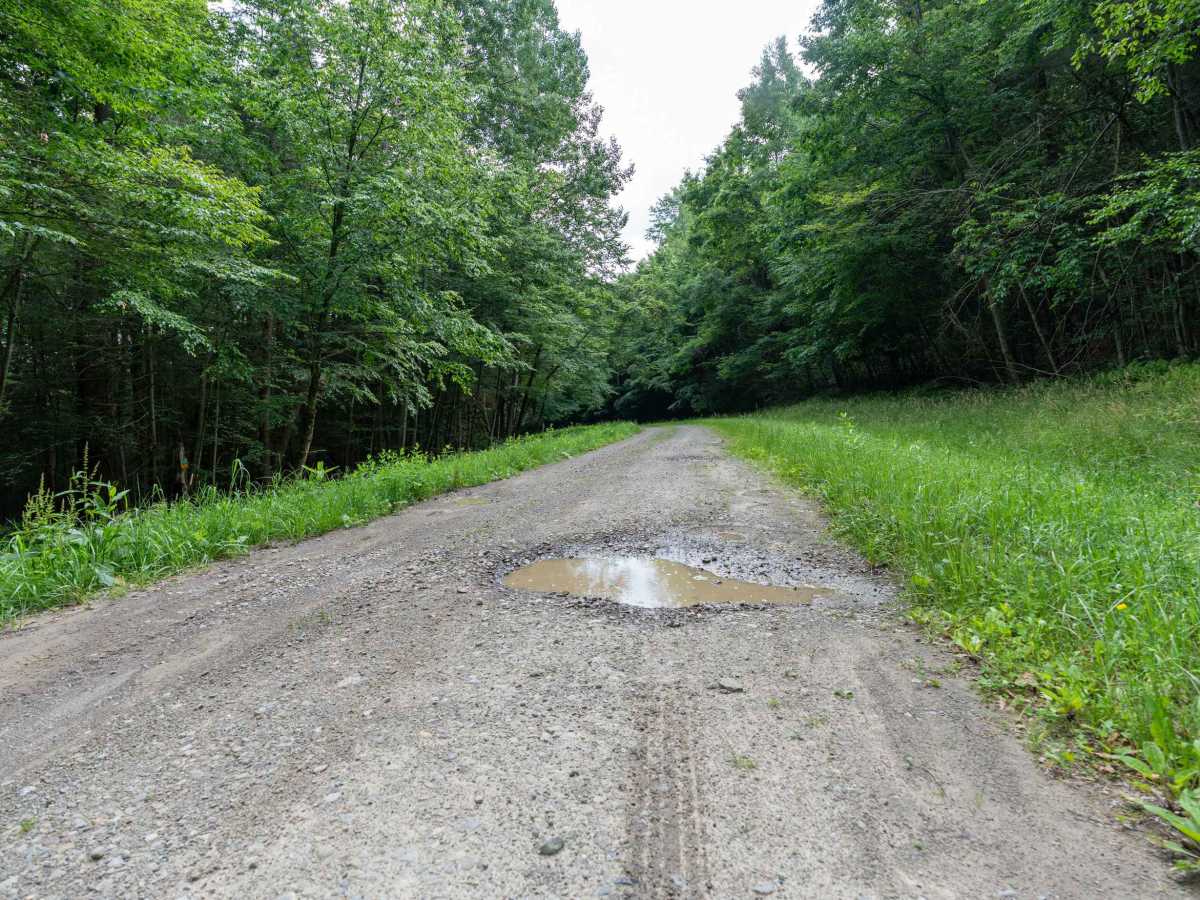 Left Fork Truck Trail photo 3
