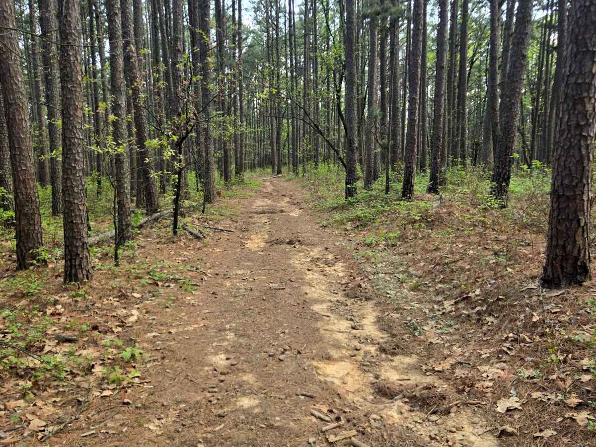River Ridge photo 4