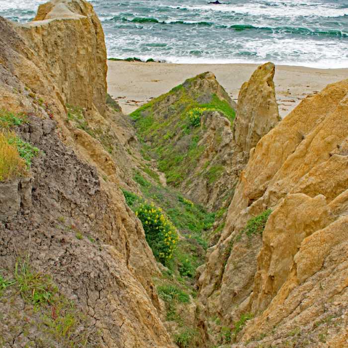A little bit like the slot canyons of Utah -- except the polished sandstone is replace by brown dirt. Near Coast Trail: Half Moon Bay to Cowell Ranch