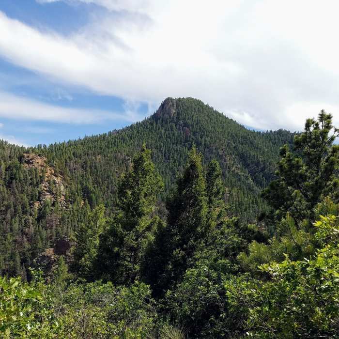 View of Mt. Cutler looking South from Mid-Columbine Trail. Near Spring Creek Trail