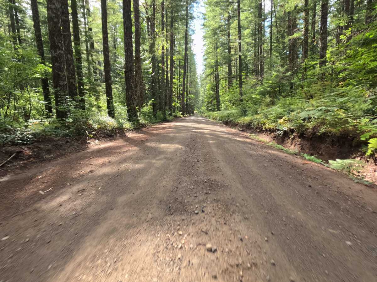 Little Soda Springs photo 6