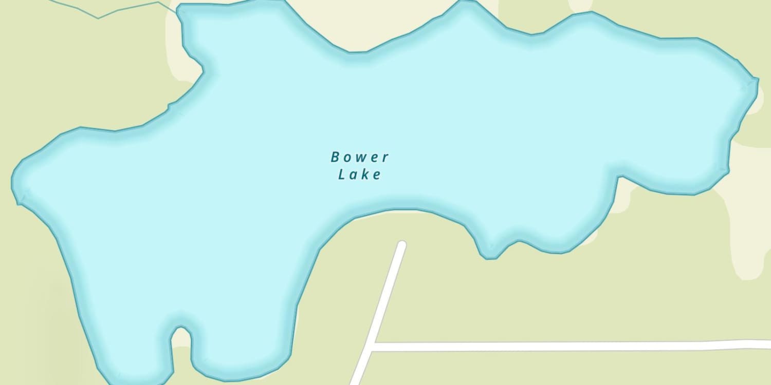Bower Lake