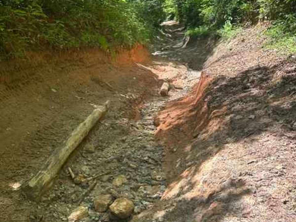 Walking Stick Road  photo 6