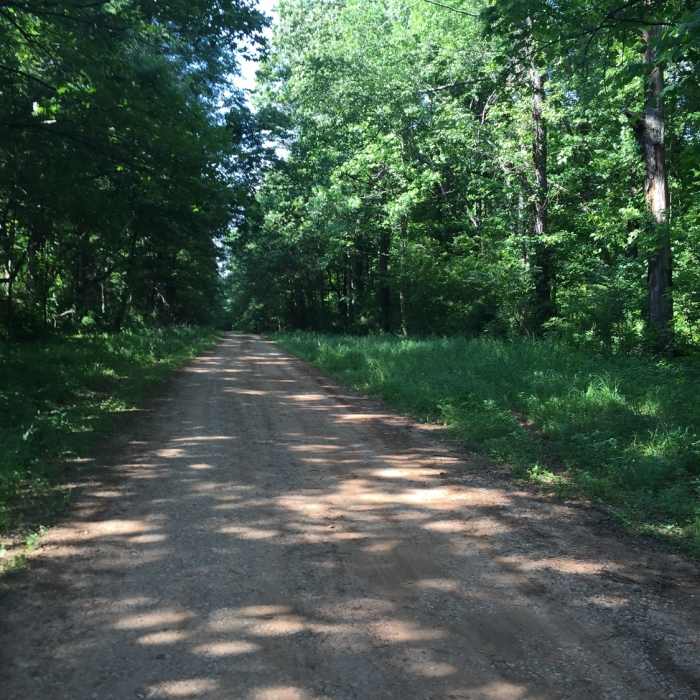 Doubletrack trail near Blackwell Swamp Near Blackwell Swamp Loop