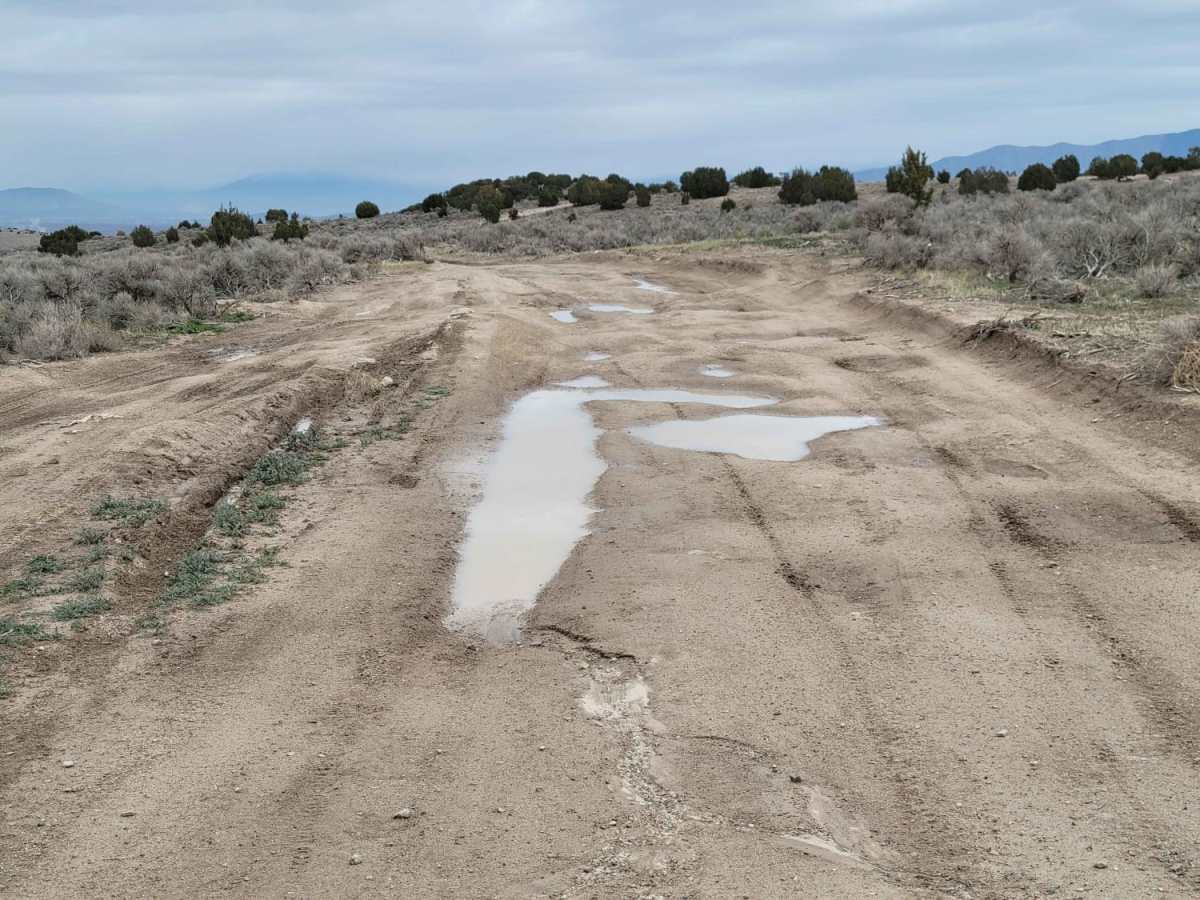 Center Stage trail photo