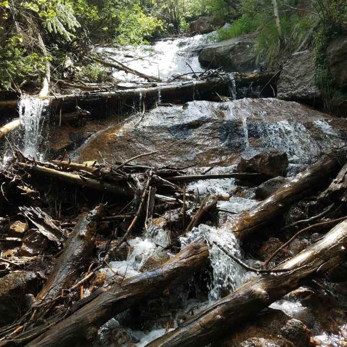 Near St. Mary Falls Trail (#624)