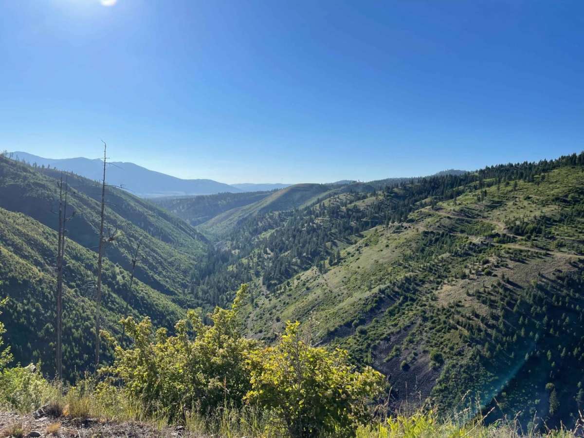8 Mile trail photo