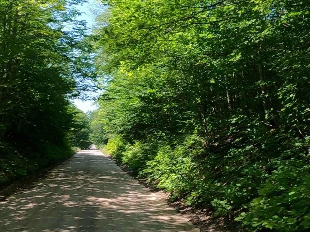 Pohlman Drive photo 3