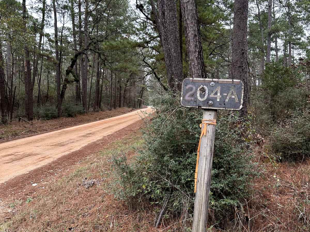 FS 204A trail photo