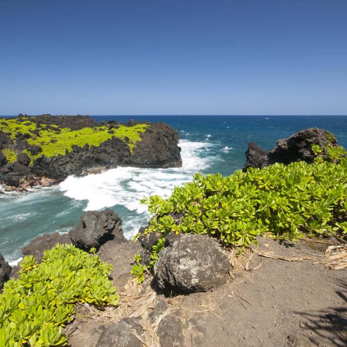Near Wai'anapanapa Coastal Trail to Pukaulua Point Near Wai'anapanapa Coastal Trail to Pukaulua Point