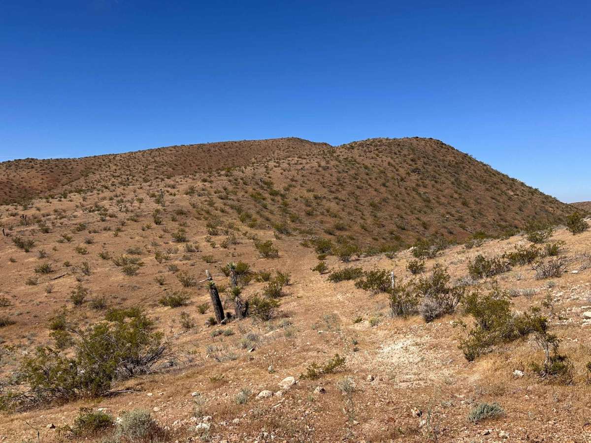 Long Shadow Ridge photo 6