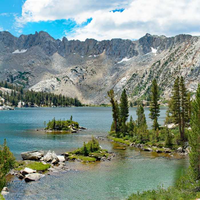 Near Big Margaret Lake Trail #26e18