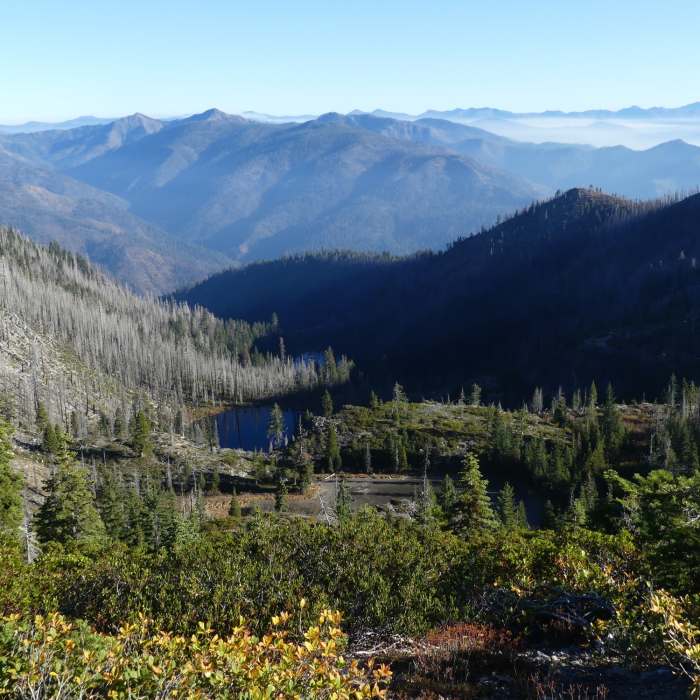 Near South Kelsey Trail