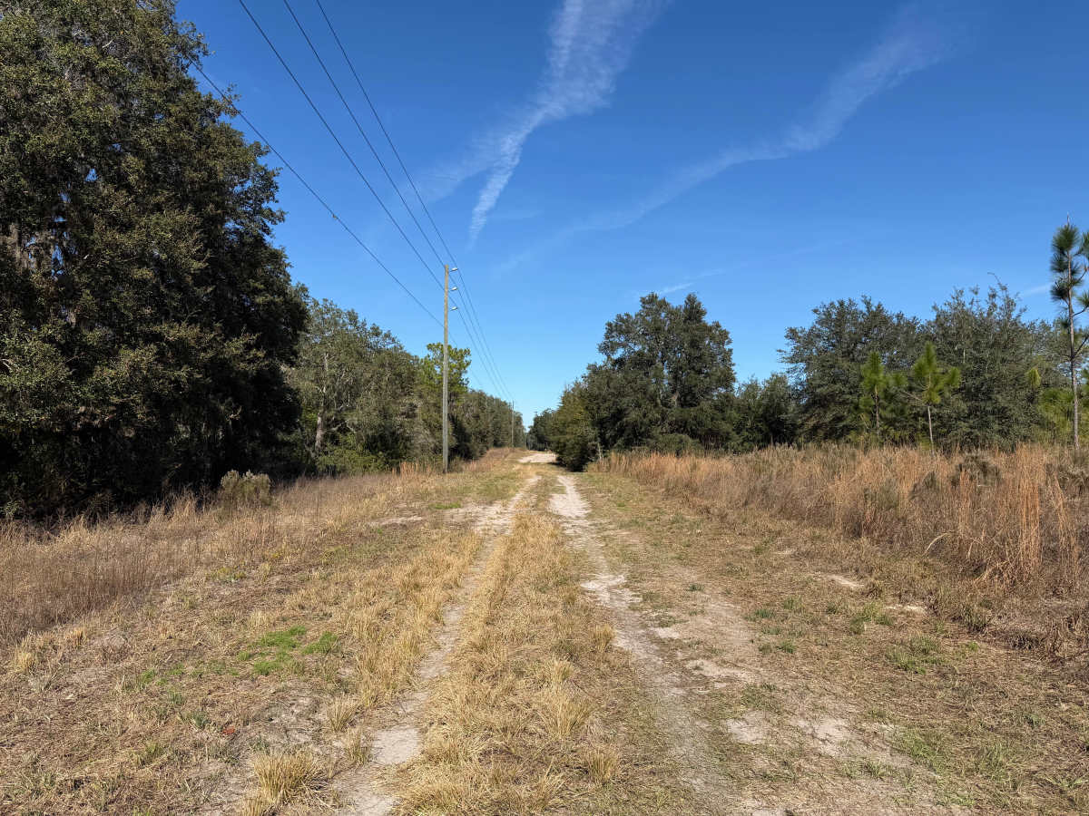 Ranch Road photo 5