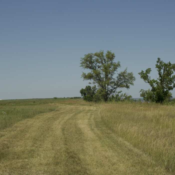 The trail reaches the bluff and runs along the top of the bluff for a while with views of the Missouri River. Near Missouri Overlook Loop