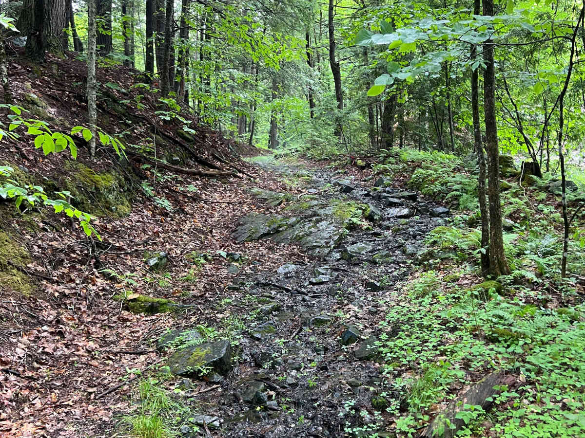 Porter Road photo 3