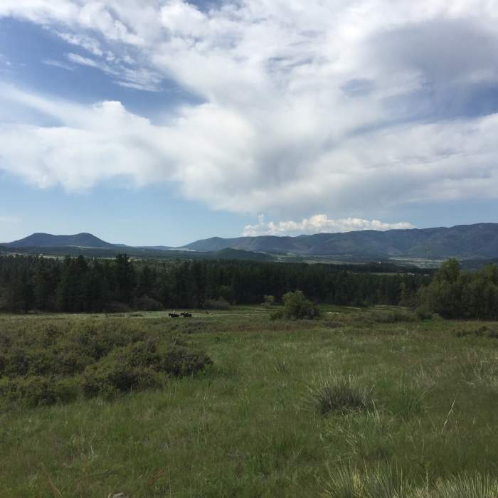 Near Dawson Butte Open Space Trail