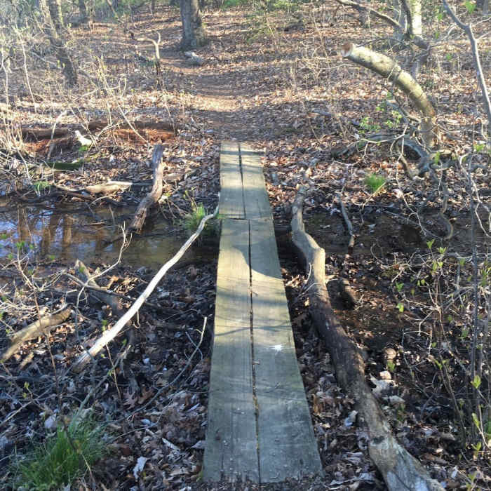 Near Wenonah Trails 5-miler