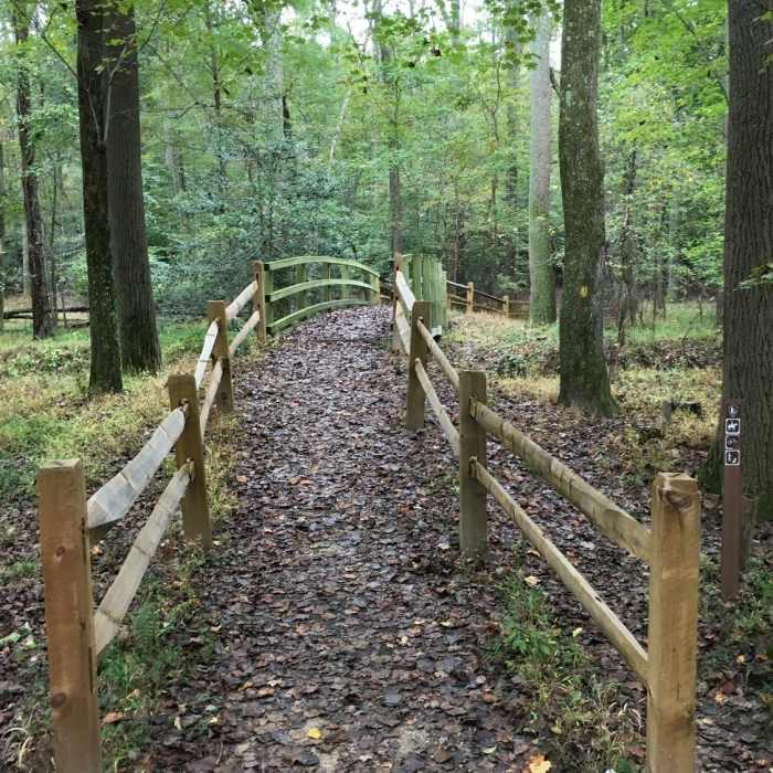 Near Perimeter Trail