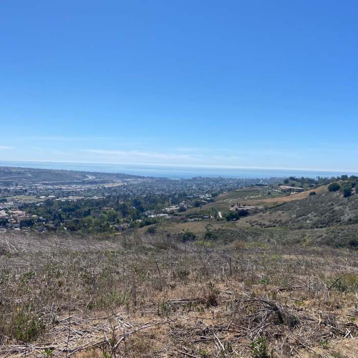 Near Colinas Ridge Trail (Colinas Bluff Trail)