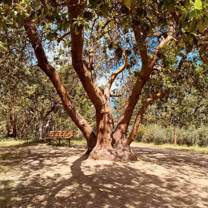 Near Britt Woods Loop