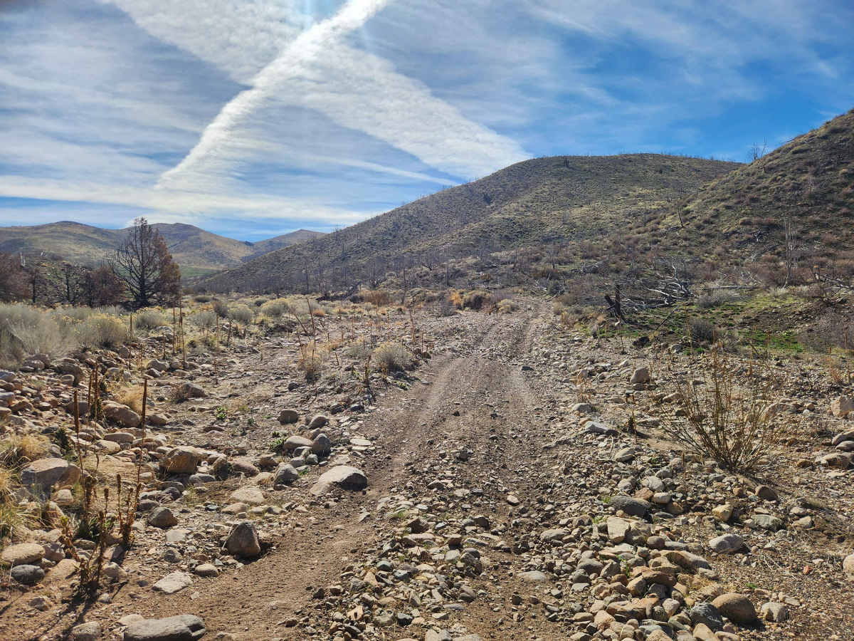 Pine Nuts P-16 Trail photo 4
