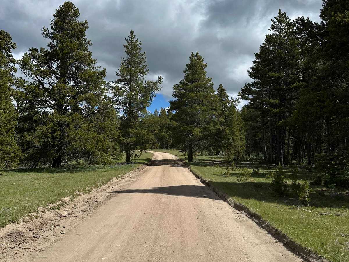 Gold Mine Road photo 5