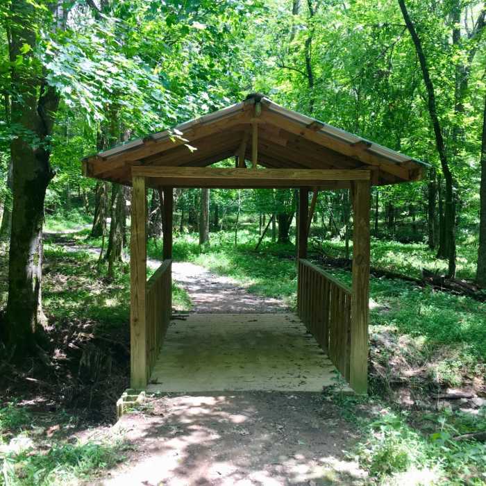 Near Shoreline + High Ridge Trail Loop