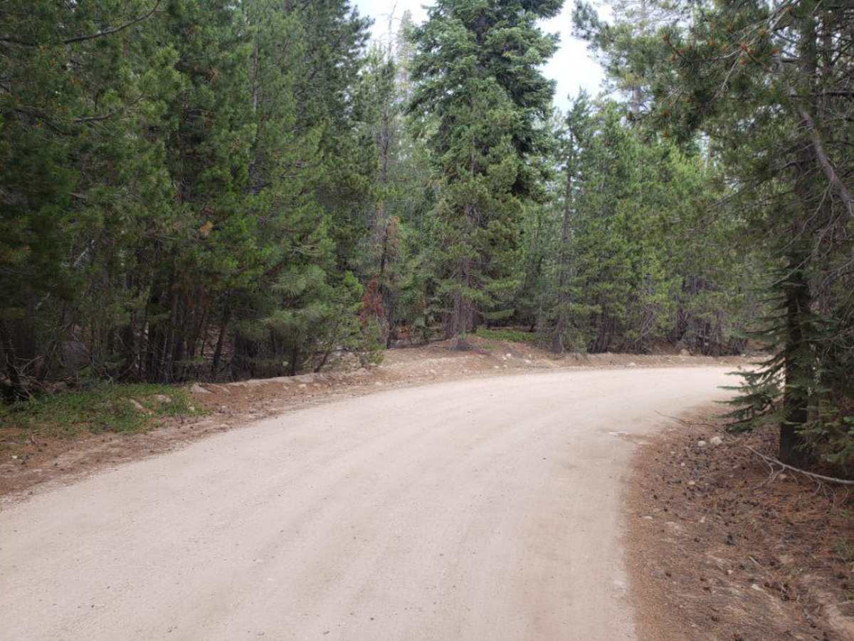 Elephant Lake trail photo