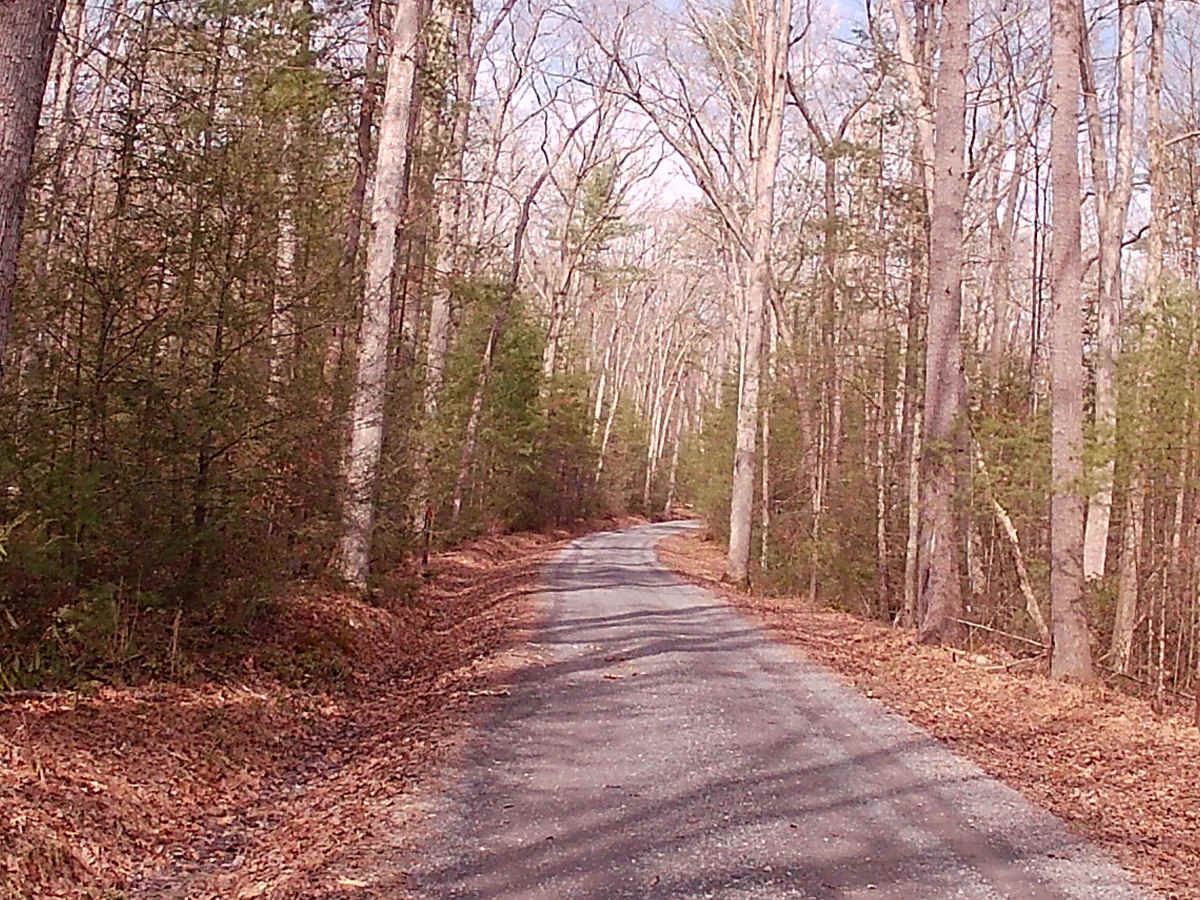 Stone Creek Road photo 2