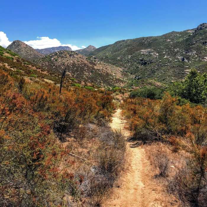 Near Espinosa Equestrian Trail