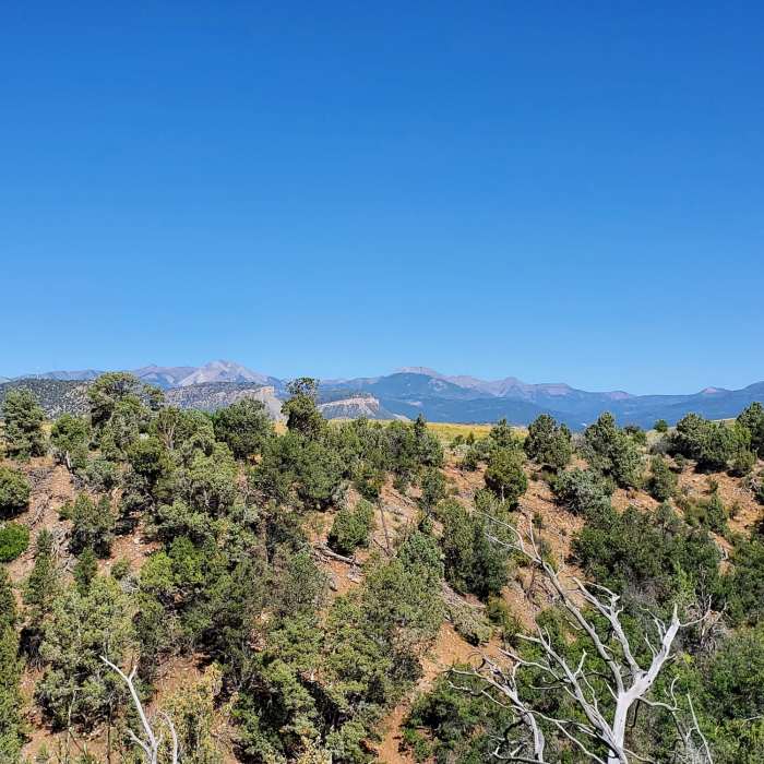 Near Carbon Junction Trail