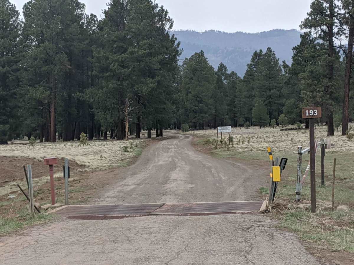 Crowley Road trail photo