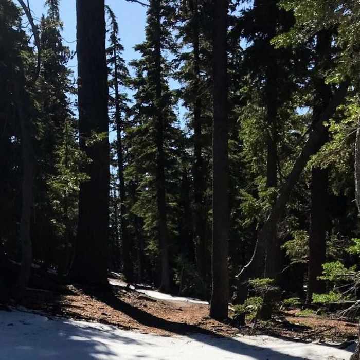 Near Kelsay Valley to Miller Lake Loop