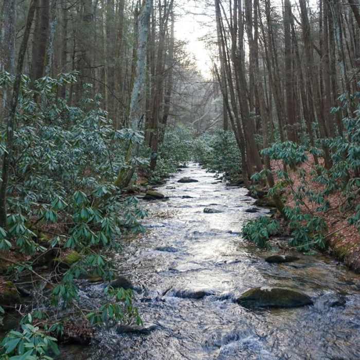 Near Springer Mountain Loop via Three Forks