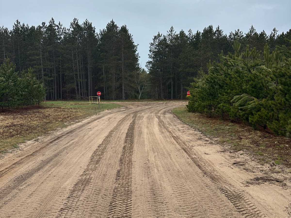 AuSable Cutover trail photo