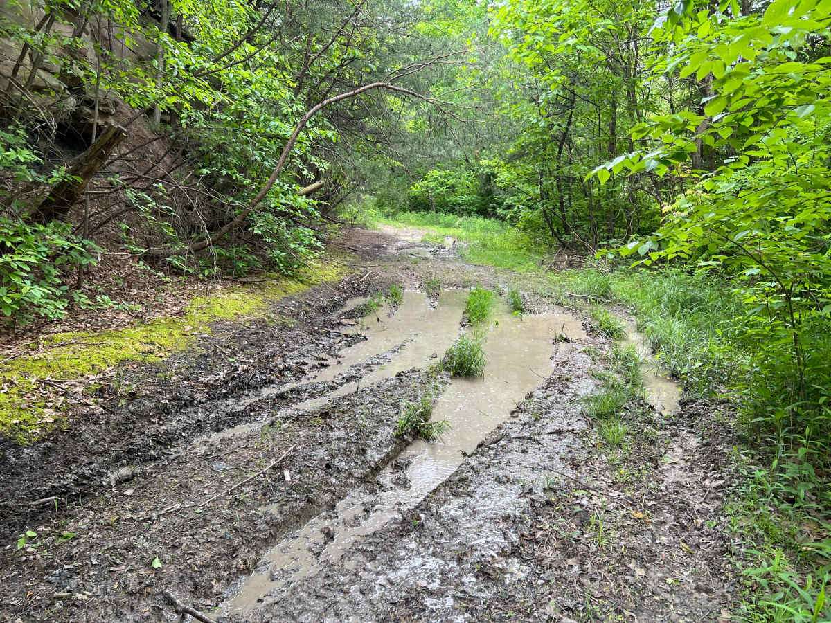 Q58 - Wildcat Hole photo 5