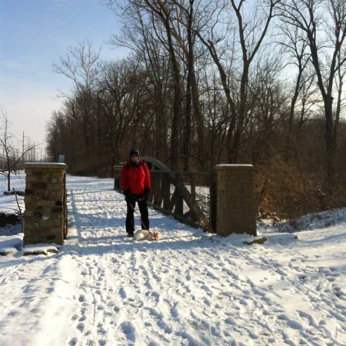 A small bridge for photos! Near Vantage Park Trail