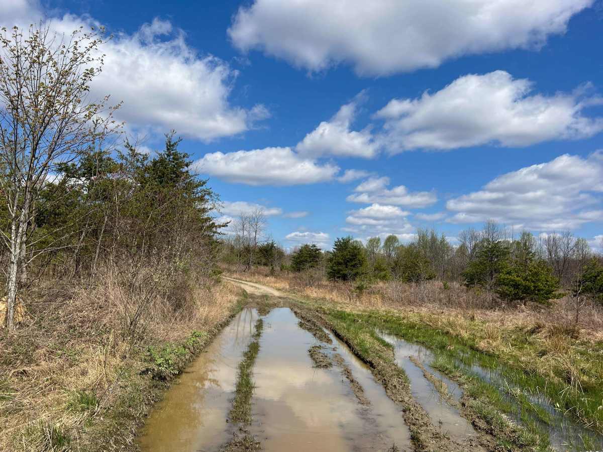Q53 trail photo