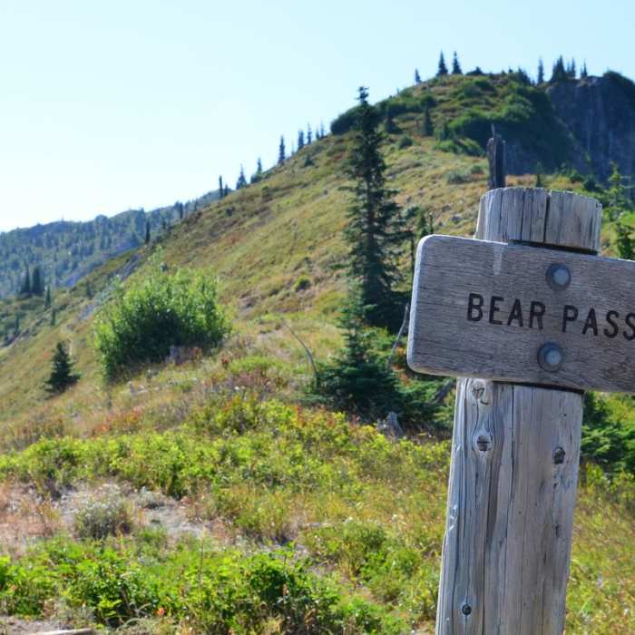 Near Mount Margaret Backcountry Lakes