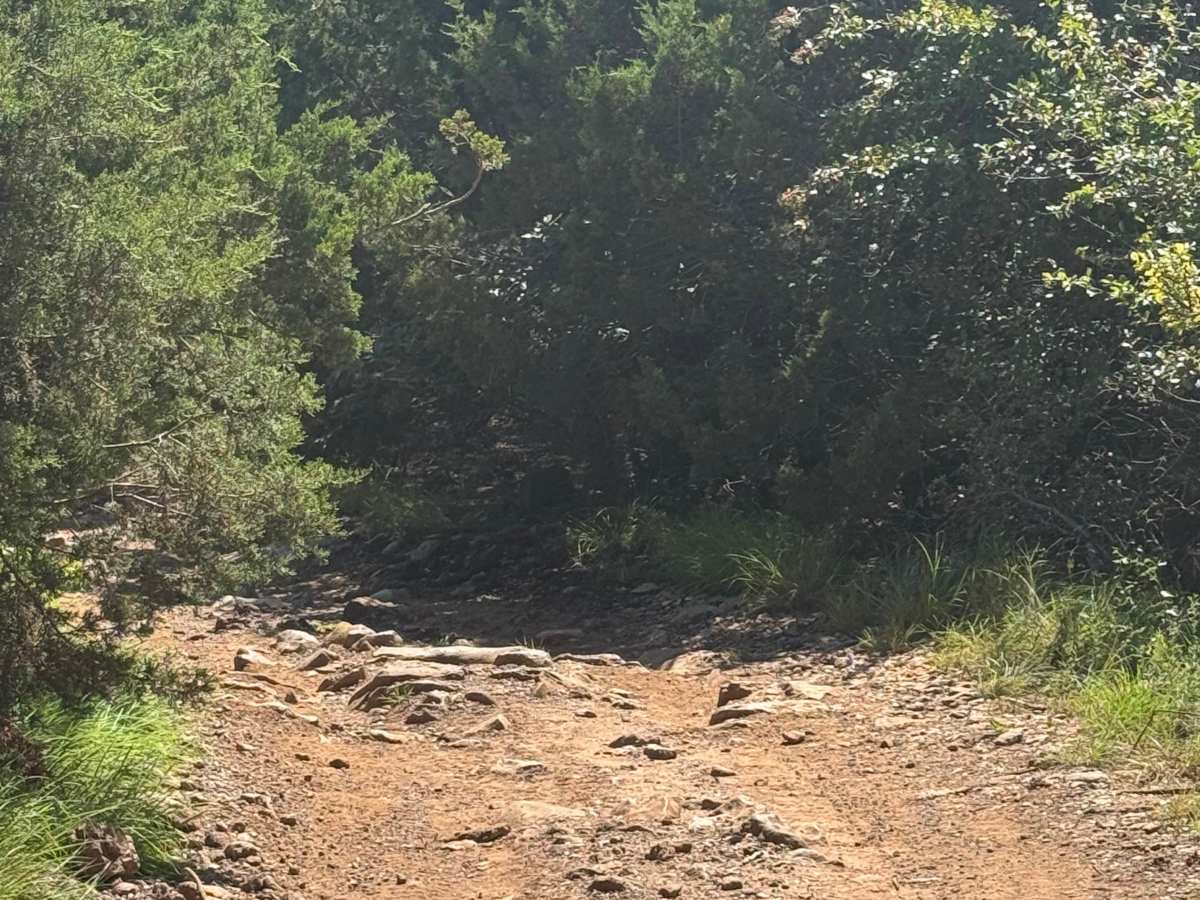 Crossover Road photo 4