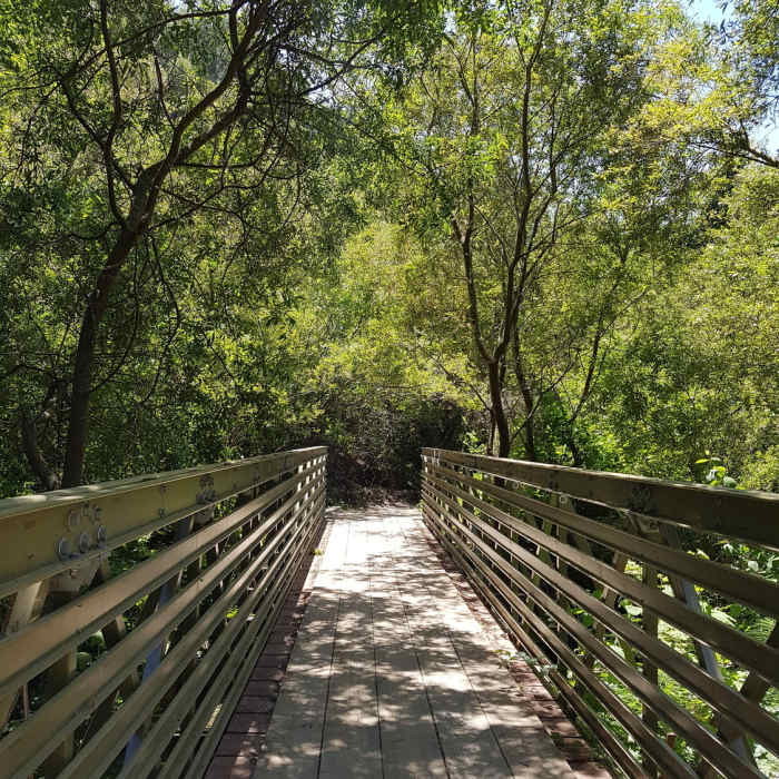Near Wildcat Canyon Loop